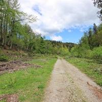 Land plot in Slovenia, Ljubljana