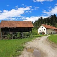 Land plot in Slovenia, Ljubljana