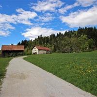 Land plot in Slovenia, Ljubljana