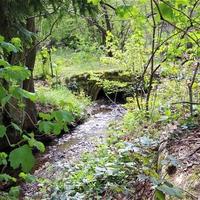 Land plot in Slovenia, Ljubljana