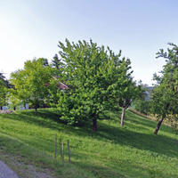 Land plot in Slovenia, Maribor, Ljubljana