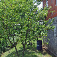 Дом в Словении, Марибор, Любляна, 200 кв.м.