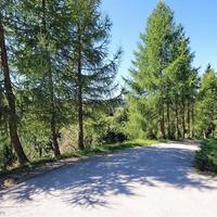 Земельный участок в Словении, Мост-на-Сочи