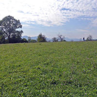 Land plot in Slovenia, Maribor, Ljubljana