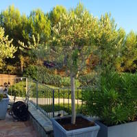 Villa in Italy, San Donnino, 550 sq.m.