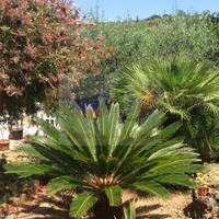 Villa in Italy, San Donnino, 250 sq.m.