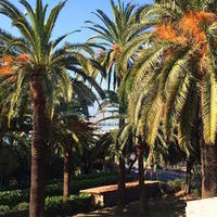 Villa in Italy, San Donnino, 1500 sq.m.