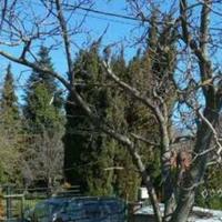 Земельный участок в Болгарии, Варненская область