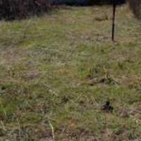 Земельный участок в Болгарии, Варненская область