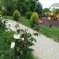 Flat in Bulgaria, Varna region, Elenite, 72 sq.m.