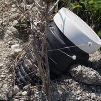 Земельный участок в Болгарии, Варненская область, Елените