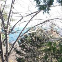 Дом в Болгарии, Варненская область, Елените, 150 кв.м.