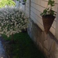 Дом в Болгарии, Варненская область, 310 кв.м.