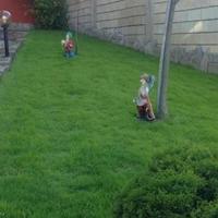 Дом в Болгарии, Варненская область, 310 кв.м.