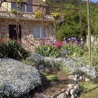 House in Bulgaria, Dobrich region, Elenite, 168 sq.m.