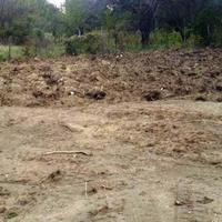 Land plot in Bulgaria, Varna region