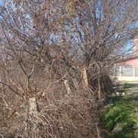 Land plot in Bulgaria, Varna region