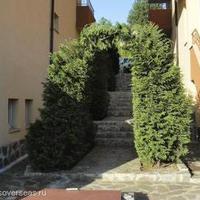 Flat in Bulgaria, Varna region, Byala