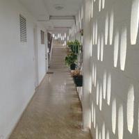 Apartment in Spain, Comunitat Valenciana, Alicante, 45 sq.m.
