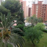 Apartment in Spain, Comunitat Valenciana, Alicante, 45 sq.m.
