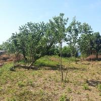 Земельный участок в пригороде в Черногории, Будва