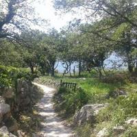 Земельный участок на первой линии моря/озера в Черногории, Будва, Пржно