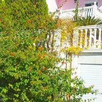 House at the second line of the sea / lake, in the suburbs in Montenegro, Bar, Budva, 290 sq.m.