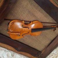 Ресторан (кафе) в центре города в Черногории, Бар, Будва, 130 кв.м.