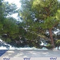 Дом в центре города, на первой линии моря/озера в Черногории, Котор, 185 кв.м.