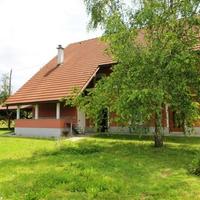 House in the suburbs in Slovenia, Polje, 196 sq.m.