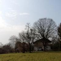 Land plot in Slovenia, Ljubljana