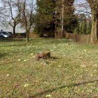Land plot in Slovenia, Ljubljana