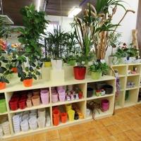 Магазин в Словении, Любляна, 84 кв.м.