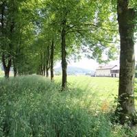 Other in the suburbs in Slovenia, Most na Soci, 4300 sq.m.