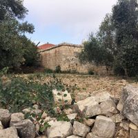Land plot in the village in Republic of Cyprus, Eparchia Pafou