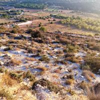 Land plot in the village in Republic of Cyprus, Eparchia Pafou