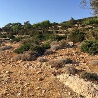 Land plot at the seaside in Republic of Cyprus, Eparchia Pafou