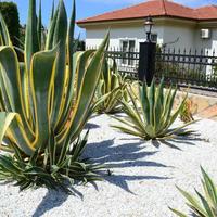 Вилла в Турции, 250 кв.м.