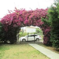 Вилла в Турции, 350 кв.м.