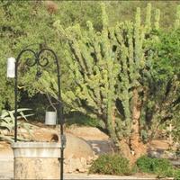 Вилла в Испании, Балеарские Острова, Пальма, 1200 кв.м.