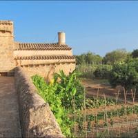 Вилла в Испании, Балеарские Острова, Пальма, 1200 кв.м.