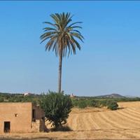 Вилла в Испании, Балеарские Острова, Пальма, 1200 кв.м.