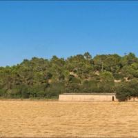 Вилла в Испании, Балеарские Острова, Пальма, 1200 кв.м.