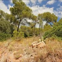 Land plot in Spain, Balearic Islands, Palma