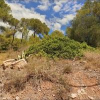 Land plot in Spain, Balearic Islands, Palma