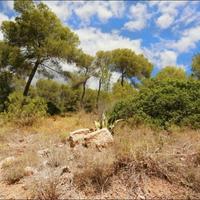 Land plot in Spain, Balearic Islands, Palma