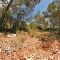 Land plot in Spain, Balearic Islands, Palma