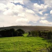 Вилла в Испании, Балеарские Острова, Пальма, 1000 кв.м.