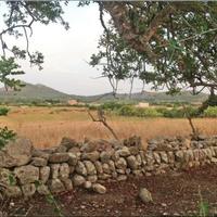 Land plot in Spain, Balearic Islands, Palma
