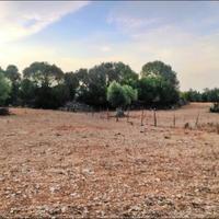 Land plot in Spain, Balearic Islands, Palma